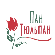 Пан Тюльпан